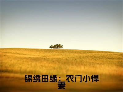 (番外)+(全文)锦绣田缘：农门小悍妻：大结局+番外（宋挽）完结阅读无弹窗大结局_(宋挽)最新章节列表_笔趣阁（锦绣田缘：农门小悍妻：大结局+番外）
