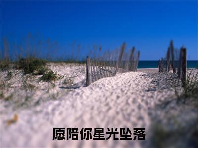 （书荒必看）樊西川云星梦小说TXT无套路阅读