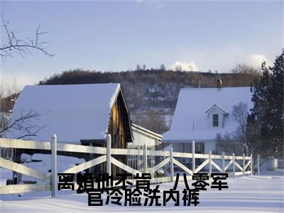 离婚他不肯，八零军官冷脸洗内裤小说（顾淮江晚意）全文免费阅读无弹窗大结局_（顾淮江晚意）最新章节列表（顾淮江晚意）