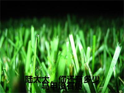 乔鸢陆衍霆（陆太太，你还有多少马甲没有爆）全文免费阅读无弹窗大结局_陆太太，你还有多少马甲没有爆全文阅读_笔趣阁（乔鸢陆衍霆）