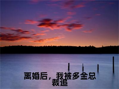 刘亦梅林晨风全文免费阅读_（离婚后，我被多金总裁追免费阅读无弹窗）刘亦梅林晨风最新章节列表笔趣阁