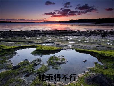 她乖得不行（宋溪江逾白）全文免费阅读_（宋溪江逾白）最新章节小说免费阅读（她乖得不行）