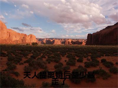 夫人提离婚后楚少暴走了楚南琛叶乔：结局+番外(楚南琛叶乔)全文免费阅读无弹窗大结局_(夫人提离婚后楚少暴走了楚南琛叶乔：结局+番外)最新章节列表_笔趣阁(楚南琛叶乔)