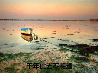（千年此去不相逢）盛驰序姜枕意千年此去不相逢最终篇章(盛驰序姜枕意)全书在线无广告高口碑小说