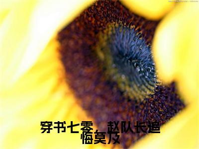 张巧莹赵淮序（穿书七零，赵队长追悔莫及）全文免费阅读无弹窗大结局_（张巧莹赵淮序）穿书七零，赵队长追悔莫及小说在线阅读无删减