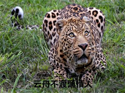 前传_笔趣阁（季燕青乔云）季燕青乔云小说(云舟不渡薄情人)章节在线阅读
