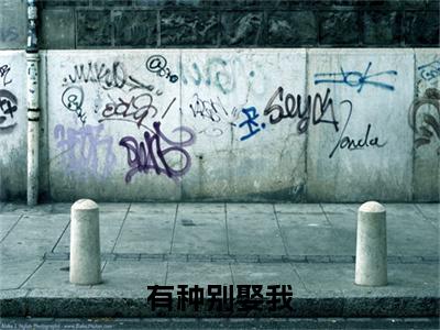 小说赵莫羡沈白全文免费阅读无弹窗大结局-有种别娶我在线阅读