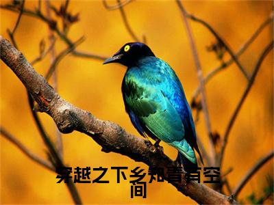 穿越之下乡知青有空间（江玥王凯）全文免费阅读_穿越之下乡知青有空间（江玥王凯在线小说免费阅读）