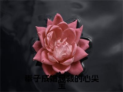 奉子成婚总裁的心尖宝（陆峥周晓苒/奉子成婚总裁的心尖宝：结局+番外）全文免费阅读无弹窗大结局_(陆峥周晓苒)最新章节列表_笔趣阁（奉子成婚总裁的心尖宝/陆峥周晓苒：结局+番外）