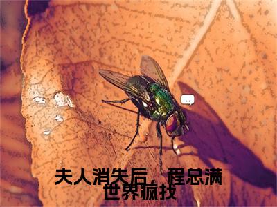 夫人消失后，程总满世界疯找（程之衍沈星晚）全文免费阅读无弹窗大结局_夫人消失后，程总满世界疯找全文免费阅读无弹窗最新章节列表