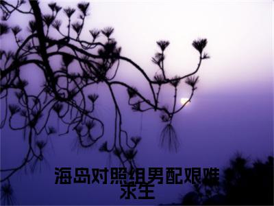 (番外)+(全文)周书盈程旻安：结局+番外+后续（周书盈程旻安）全文免费阅读无弹窗大结局_（周书盈程旻安：结局+番外+后续免费阅读全文大结局）最新章节列表_笔趣阁（周书盈程旻安：结局+番外+后续）
