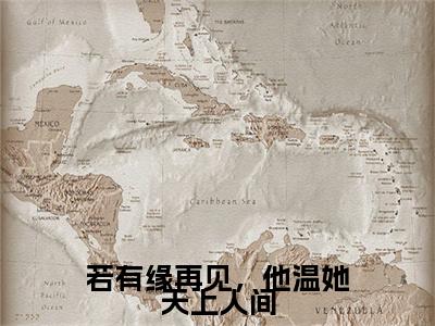 若有缘再见，他温她天上人间（傅晏琛温知意）全文免费阅读无弹窗大结局_（傅晏琛温知意免费阅读全文大结局）最新章节列表