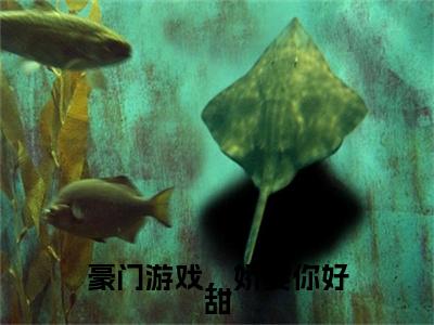 豪门游戏，娇妻你好甜：夏薇星战御北结局+番外（豪门游戏，娇妻你好甜）全文免费阅读无弹窗大结局_(豪门游戏，娇妻你好甜：夏薇星战御北结局+番外后续大结局)豪门游戏，娇妻你好甜最新章节列表_笔趣阁（豪门游戏，娇妻你好甜：夏薇星战御北结局+番外）