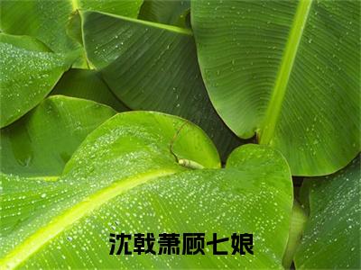 沈戟萧顾七娘（顾七娘沈戟萧小说）全文免费阅读无弹窗大结局_沈戟萧顾七娘最新章节