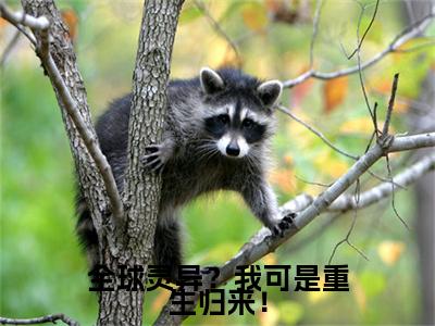 全球灵异？我可是重生归来！（顾真）全文免费阅读_全球灵异？我可是重生归来！（顾真）最新章节小说免费阅读