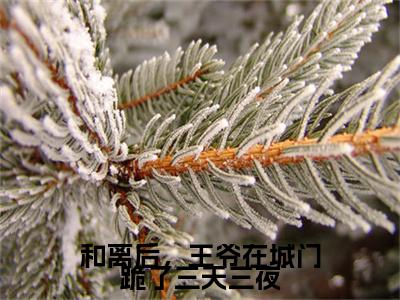 热文推荐和离后，王爷在城门跪了三天三夜附加(沈时韫明婵)（和离后，王爷在城门跪了三天三夜）最新章节列表