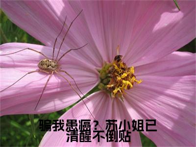 苏染禾司矜晏(苏染禾司矜晏：结局+番外)全文免费阅读无弹窗大结局_(苏染禾司矜晏)最新章节列表_笔趣阁(苏染禾司矜晏：结局+番外)