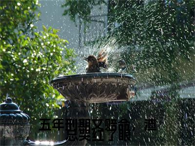 五年刑期又赔命，渣总哭红了眼小说全文免费阅读（夏苏木叶南星）全文免费阅读无弹窗_夏苏木叶南星小说全文免费阅读