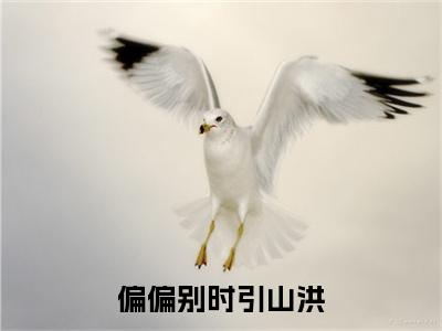 宁鸢（偏偏别时引山洪：结局+番外+完结）完结阅读无弹窗大结局_(宁鸢)最新章节列表_笔趣阁（偏偏别时引山洪：结局+番外+完结）
