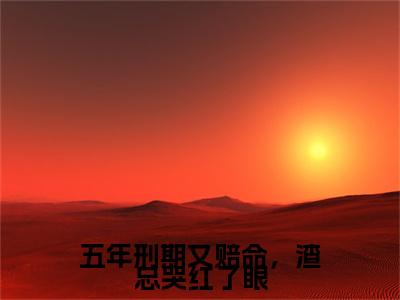 五年刑期又赔命，渣总哭红了眼（夏苏木叶南星）全文免费阅读无弹窗大结局_（夏苏木叶南星在线阅读）最新章节列表笔趣阁（夏苏木叶南星）
