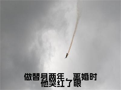 做替身两年，离婚时他哭红了眼全局（时柒陆淮年）最新推荐_最新推荐做替身两年，离婚时他哭红了眼全局（时柒陆淮年）