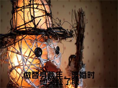 陆淮年时柒小说（做替身两年，离婚时他哭红了眼）全文免费阅读无弹窗大结局_（陆淮年时柒免费阅读全文大结局）最新章节列表