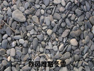 贺司衍沈允薇(秋风难融冬雪：结局+番外)全文免费阅读无弹窗大结局_(贺司衍沈允薇)秋风难融冬雪最新章节列表_笔趣阁(贺司衍沈允薇：结局+番外)