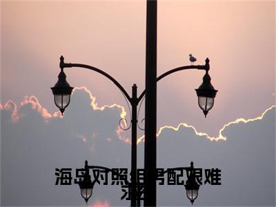 完结文海岛对照组男配艰难求生最新章节列表_完结文海岛对照组男配艰难求生全文免费阅读（周书盈程旻安）(番外)+(全文)