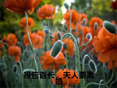 报告首长，夫人要离婚：陌凉结局+番外(报告首长，夫人要离婚)全文免费阅读无弹窗结局_报告首长，夫人要离婚+结局最新章节列表_笔趣阁（报告首长，夫人要离婚：陌凉结局+番外）