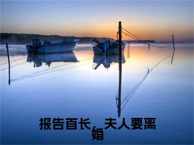 报告首长，夫人要离婚（陌凉）全文免费完结版阅读_（陌凉）报告首长，夫人要离婚最新章节列表笔趣阁