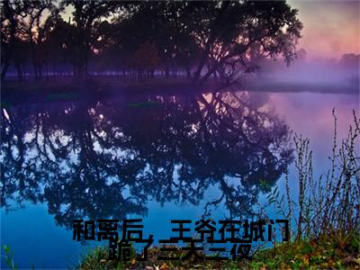 和离后，王爷在城门跪了三天三夜全文免费在线阅读_（沈时韫明婵免费阅读无弹窗）和离后，王爷在城门跪了三天三夜全文免费完结版阅读