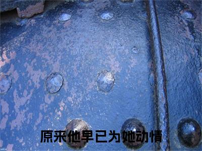 程淮之沈南意原来他早已为她动情续集(程淮之沈南意)终极反转（原来他早已为她动情）全篇一口气阅读