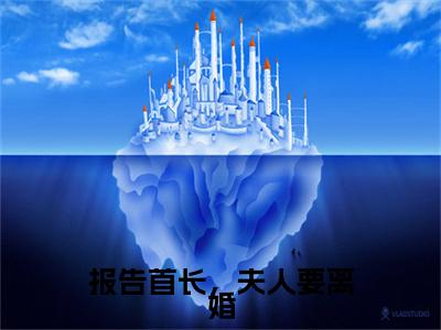 报告首长，夫人要离婚小说（陌凉）全文免费阅读无弹窗大结局_报告首长，夫人要离婚完整版最新阅读_笔趣阁（陌凉）