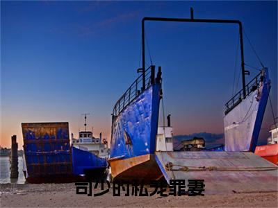 司夜爵苏夏：结局+番外（司少的私宠罪妻）全文免费阅读无弹窗大结局_(司少的私宠罪妻：结局+番外)最新章节列表_笔趣阁（司少的私宠罪妻）