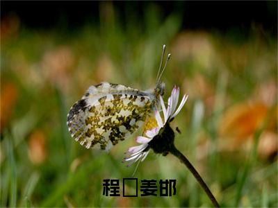 程玥姜邯（姜邯程玥）全文免费在线阅读_程玥姜邯全文阅读_笔趣阁（姜邯程玥）