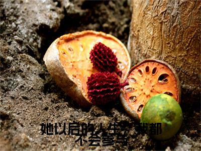 (结局)+(全文)她以后的人生，我都不会参与（陈疏影沈牧川：结局+番外）全文免费阅读无弹窗大结局_(她以后的人生，我都不会参与)最新章节列表_笔趣阁（陈疏影沈牧川：结局+番外）