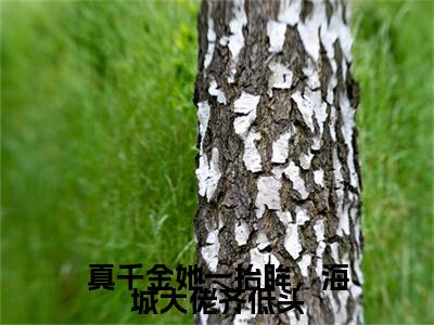 (真千金她一抬眸，海城大佬齐低头：结局+番外)书荒宝藏热文必读推荐（沈幼梧厉北暝）全文免费阅读无弹窗大结局_(真千金她一抬眸，海城大佬齐低头：结局+番外)最新章节列表_笔趣阁（沈幼梧厉北暝）