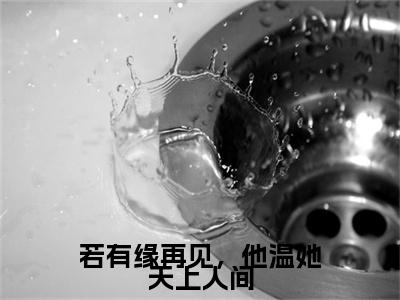 温知意傅晏琛免费阅读无弹窗大结局_（若有缘再见，他温她天上人间：结局+番外）温知意傅晏琛最新章节列表_笔趣阁（若有缘再见，他温她天上人间：结局+番外）