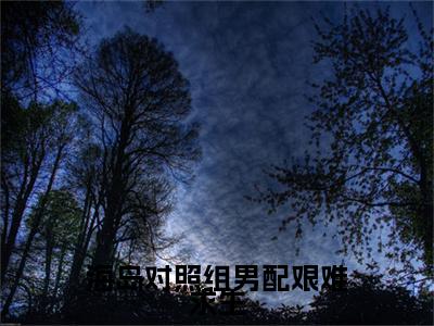 海岛对照组男配艰难求生（周书盈程旻安）全文免费阅读_（周书盈程旻安）最新章节小说免费阅读（海岛对照组男配艰难求生）