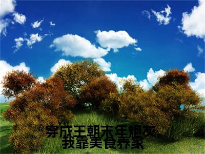 崔粥陆道安全文（穿成王朝末年炮灰，我靠美食养家小说）全文免费阅读无弹窗大结局_穿成王朝末年炮灰，我靠美食养家免费最新章节列表
