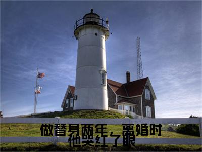 做替身两年，离婚时他哭红了眼小说（陆淮年时柒）全文免费阅读无弹窗大结局_做替身两年，离婚时他哭红了眼全文免费完结版阅读（陆淮年时柒）