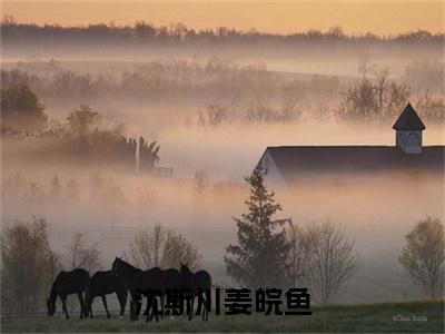 姜皖鱼沈斯川：结局+番外全文免费阅读(沈斯川姜皖鱼：结局+番外小说)全文免费阅读无弹窗大结局_ (沈斯川姜皖鱼：结局+番外)姜皖鱼沈斯川：结局+番外小说全文免费阅读免费阅读无弹窗最新章节列表_笔趣阁（沈斯川姜皖鱼：结局+番外小说）