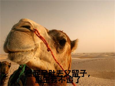 藏起孕肚去父留子，重生我不追了：结局+番外（谢珩玉阿商）全文免费阅读无弹窗大结局_(藏起孕肚去父留子，重生我不追了：结局+番外后续大结局)谢珩玉阿商最新章节列表_笔趣阁（藏起孕肚去父留子，重生我不追了：结局+番外）