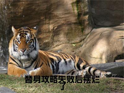 替身攻略失败后摆烂了（陆译林初夏）全文免费阅读无弹窗大结局_（替身攻略失败后摆烂了）最新章节列表_笔趣阁（陆译林初夏）
