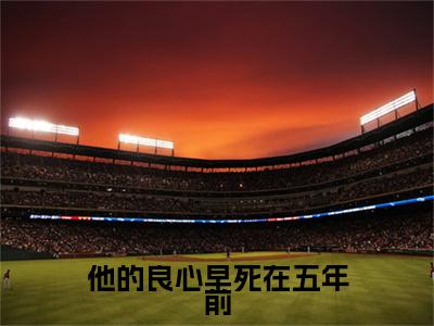 他的良心早死在五年前林幼清傅晏忱小说无删减阅读清爽版（林幼清傅晏忱）外篇+续集