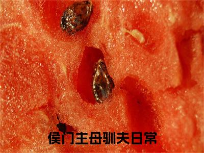 侯门主母驯夫日常许纾和小说(侯门主母驯夫日常)（许纾和）在线畅读+开篇大作+前传