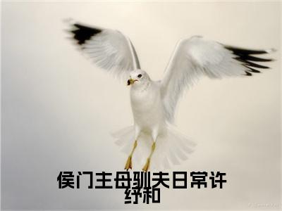 (许纾和:结局+番外)结局番外（侯门主母驯夫日常许纾和）全文免费阅读无弹窗大结局_(许纾和:结局+番外)最新章节列表_笔趣阁（侯门主母驯夫日常许纾和）