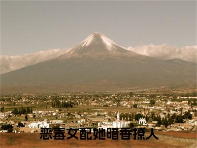 恶毒女配她暗香撩人（孟意如秦隋安小说）全文免费阅读无弹窗大结局_（孟意如秦隋安）小说最新章节列表