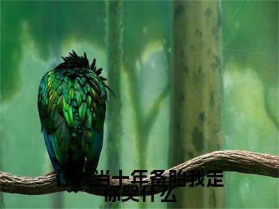 (番外)+(全文)让我当十年备胎我走你哭什么：番外+全文+后续（苏茉江岫白）完整版小说阅读_让我当十年备胎我走你哭什么：番外+全文+后续免费阅读_笔趣阁（苏茉江岫白）