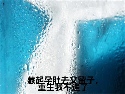 藏起孕肚去父留子，重生我不追了小说(藏起孕肚去父留子，重生我不追了)（谢珩玉阿商）前传+阅读全新作品预订